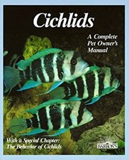 Cichlids complete pet for sale  DUNFERMLINE