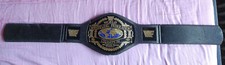 Wwf wrestling champion gebraucht kaufen  Hamburg