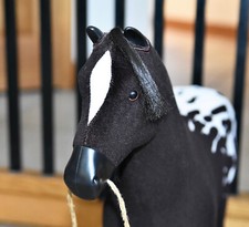 Kaya appaloosa mare for sale  Sistersville