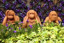 Wise monkeys garden for sale  Shipping to Ireland