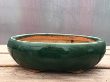 Oval vintage bonsai for sale  LONDON