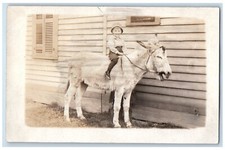 C1910 little kid for sale  Terre Haute