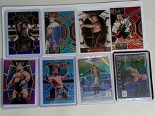 Wwe panini sammelkarten gebraucht kaufen  Hannover