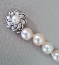 Attraktiver verschluss perlen gebraucht kaufen Attraktiver verschluss perlen gebraucht kaufen  Glückstadt