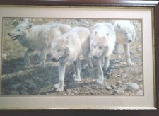 Carl brenders esprit for sale  LEOMINSTER