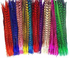 Colour pheasant tail for sale  PETERBOROUGH