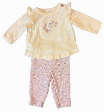 Roupa Carters bebê menina recém-nascida calça camisa manga comprida roupas pouco amadas comprar usado  Enviando para Brazil