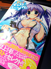 Artbook hentai ecchi usato  Torre del Greco