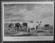 Dieterle bancs berville d'occasion  Beaumont-de-Lomagne