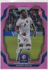 Panini 2024 copa gebraucht kaufen  Nußloch