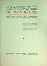 Per una migliore usato  Italia