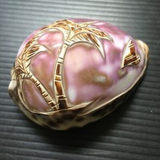 Vintage tiger cowrie for sale  Milford