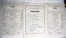 Ingenieur abschluß zeugnis gebraucht kaufen  Schkopau