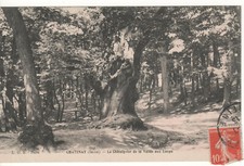 Cpa chatenay cataignier d'occasion  Expédié en Belgium