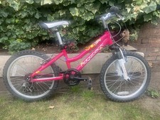 Ridgeback harmony mountain for sale  TEDDINGTON