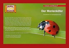 Kamishibai marienkäfer fotobi gebraucht kaufen  München