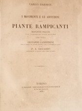 Movimenti abitudini delle usato  Trieste