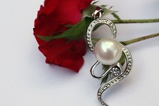 Anhänger weißgold plattieren gebraucht kaufen Anhänger weißgold plattieren gebraucht kaufen  Geesthacht