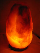 Salzlampe 12kg großer gebraucht kaufen  Niedernberg