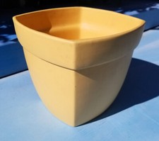 Yellow house plant for sale  Covina
