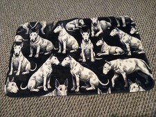 bullterrier for sale  BRIDGWATER