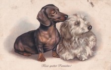 Dachshund dog and d'occasion  Expédié en Belgium