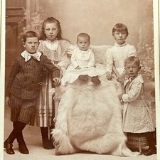 Cabinet card antique for sale  Sturgis