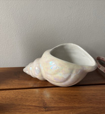 Shell shaped nacre for sale  BROMLEY