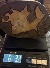 septarian stone for sale septarian stone for sale Tuscaloosa