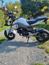 Honda msx125 grom for sale  CHURCH STRETTON