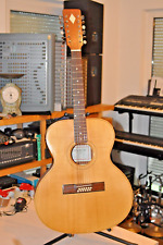 Rare saitige gitarre gebraucht kaufen  München