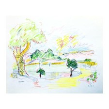 Wayne ensrud niebaum for sale  USA