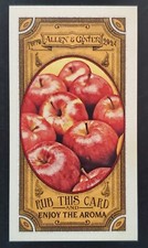 Allen ginter 2024 for sale  Houston