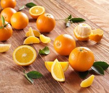 One seedling sunkist for sale  Kingsburg