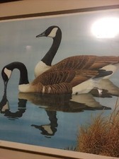 Durant ball geese for sale  Rocky Face