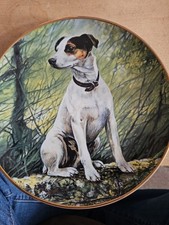 Dog plate alert for sale  SOUTHAMPTON