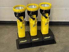 Adalit l2000 lampe gebraucht kaufen  Raubling
