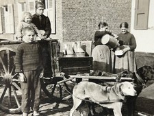 Belgium antwerp dog d'occasion  Expédié en Belgium