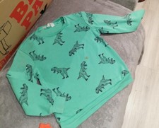 Pullover dino dinosaurier gebraucht kaufen  Lensahn
