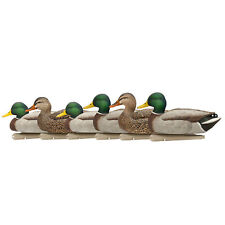 Avian top flight for sale  Lincoln