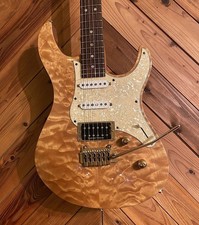 Gutiar elettrico personalizzat usato Gutiar elettrico personalizzat usato  Spedire a Italy