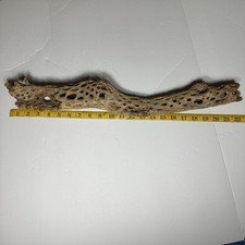 Cholla wood aquarium for sale  Armstrong