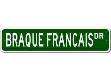 Braque francais breed for sale  Shipping to United Kingdom
