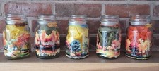 Glass storage jars for sale  HALESOWEN