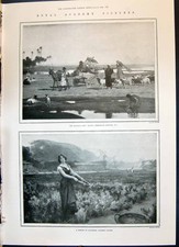 Old 1900 market for sale  UK