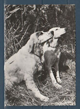 Cpsm 1960 nature d'occasion  Bourg-en-Bresse