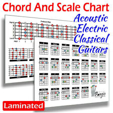 Guitar learning tool for sale  WINSFORD