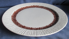 Thomas speiseteller 23cm gebraucht kaufen  Henstedt-Ulzburg
