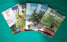 Bonsai focus rivista usato  Siderno