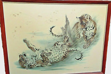 Signed framed ralph for sale  LYTHAM ST. ANNES